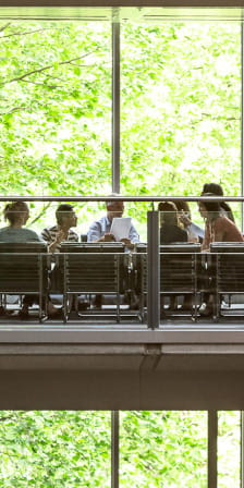 people in the office